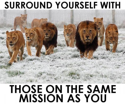 surround-same-mission